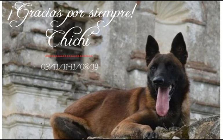 En junio de este año se dio a conocer que 