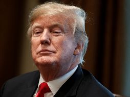 Al menos 10 fiscales generales se unieron a grupos conservacionistas en protesta a los cambios de Trump a dicha ley, diciendo que ponen a más vida silvestre en mayor riesgo. AP / ARCHIVO