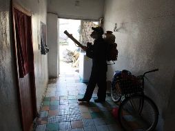 La Segunda Jornada Nacional de Lucha contra el Dengue, Chikungunya y Zika, que busca la prevención, detección y atención de casos. EL INFORMADOR/ARCHIVO