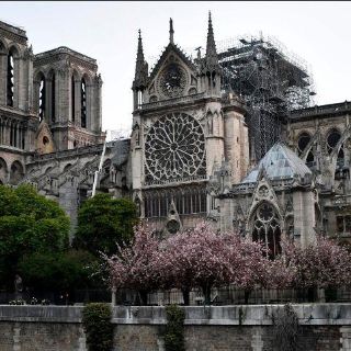 Inician trabajos de limpieza de plomo en Notre Dame