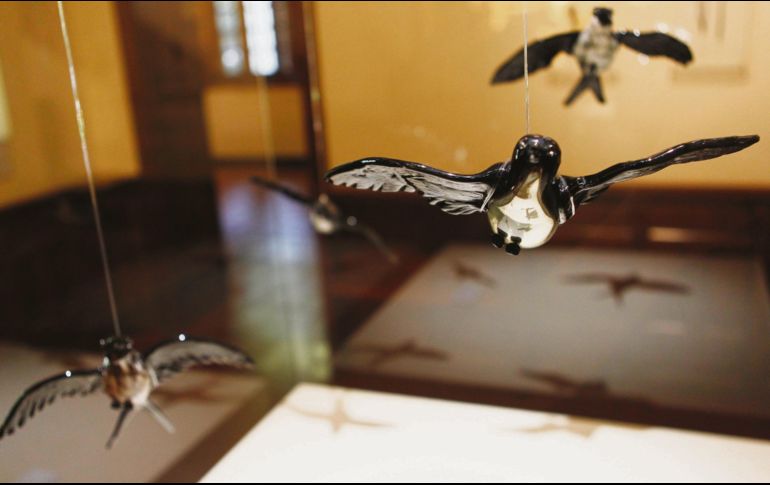 “El aliento de la imaginación: vidrio soplado de Odilón Ávalos” cuenta con diversas muestras de la creación del artista poblano. EL INFORMADOR / A. Camacho