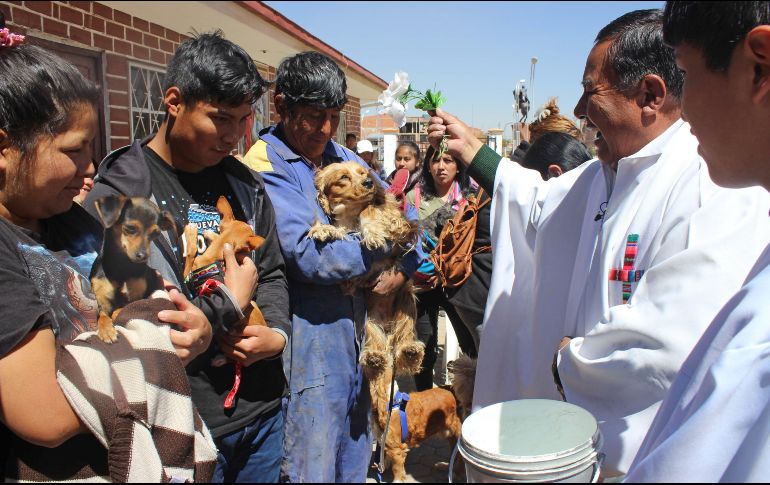 Decenas de vecinos del barrio alteño de Villa Adela empezaron a llegar a la parroquia Cuerpo de Cristo a media mañana, acompañados por perros de todos los tamaños y razas. EFE/G. Baldivieso