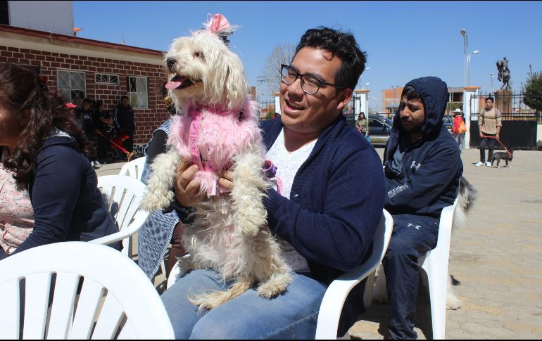 Decenas de vecinos del barrio alteño de Villa Adela empezaron a llegar a la parroquia Cuerpo de Cristo a media mañana, acompañados por perros de todos los tamaños y razas. EFE/G. Baldivieso
