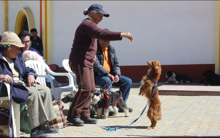 Decenas de vecinos del barrio alteño de Villa Adela empezaron a llegar a la parroquia Cuerpo de Cristo a media mañana, acompañados por perros de todos los tamaños y razas. EFE/G. Baldivieso