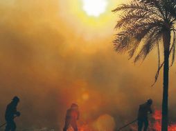 Además de ese incendio forestal, este mes se registraron siete mil 024 focos de quema. ESPECIAL