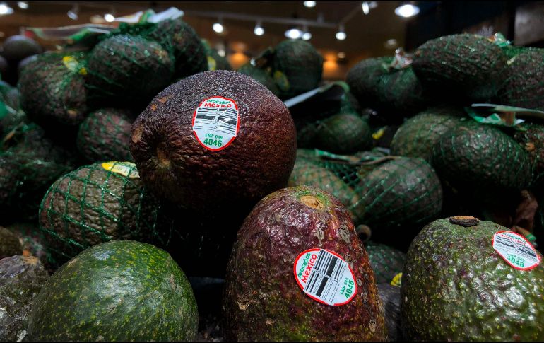 El kilo de aguacate en la Central de Abasto de la Ciudad de México se vende en 60 pesos. AFP / ARCHIVO