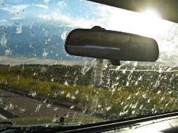 Parabrisas: lo que no sabías sobre sus cuidados y prevención de daños