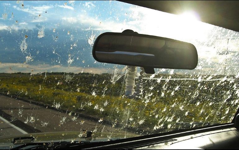 Parabrisas: lo que no sabías sobre sus cuidados y prevención de daños