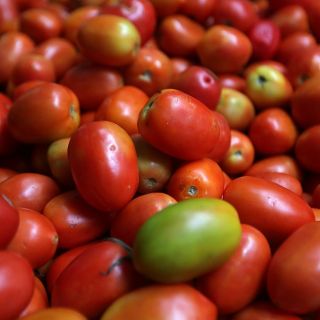 México y Estados Unidos logran acuerdo de jitomate