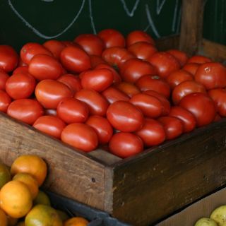 En septiembre, acuerdo de exportación de jitomate México-EU