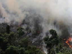 El Inpe dice que ha detectado más de 72,000 incendios en lo que va de 2019. REUTERS