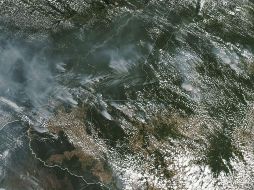 Cinco cosas a saber sobre la Amazonia