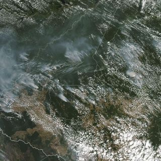 Cinco cosas a saber sobre la Amazonia