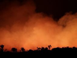 La selva amazónica se ha vuelto cada vez más susceptible a sufrir incendios. REUTERS