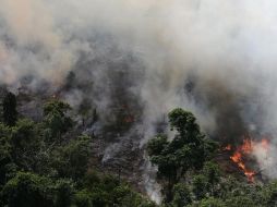 El Instituto Nacional de Investigaciones Espaciales (INPE) de Brasil detectó más de 72.800 focos de incendios en la región en lo que va de año. Reuters