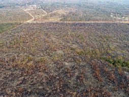 En lo que va del año ha habido una cantidad récord de incendios en Brasil: 74 mil 155. EFE/ARCHIVO