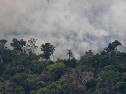 Más de la mitad de los incendios que se han desatado en Brasil en 2019 se registraron en la región amazónica del país. AFP
