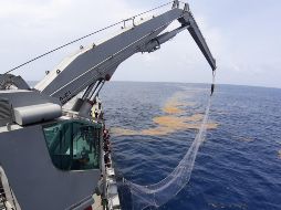 La Marina comienza por retirar el sargazo en las playas y se propone desarrollar la infraestructura necesaria para evitar que llegue a la costa. NOTIMEX