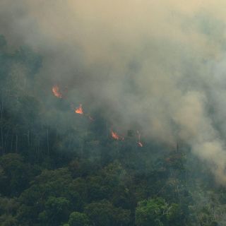 Macron promete movilización internacional para salvar la Amazonía