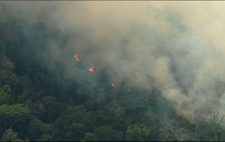 Macron dice que se quiere invertir en la reforestación y para permitir a sus pueblos autóctonos y a las ONG desarrollar actividades adecuadas para ''preservar ese tesoro de la biodiversidad''. EFE / J. Alves
