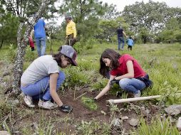En el Bosque de La Primavera, se continuará con acciones de limpieza de las áreas para evitar la competencia con otras especies. ESPECIAL/ Semadet