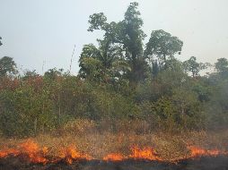 La Cancillería argentina coordina junto al Sinagir las solicitudes de asistencia que Brasil ha demandado hasta el momento. EFE/ J. Alves