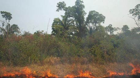 La Cancillería argentina coordina junto al Sinagir las solicitudes de asistencia que Brasil ha demandado hasta el momento. EFE/ J. Alves