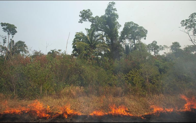 La Cancillería argentina coordina junto al Sinagir las solicitudes de asistencia que Brasil ha demandado hasta el momento. EFE/ J. Alves