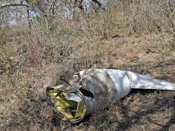 Los organismos de rescate encontraron la avioneta este sábado tras varias horas de búsqueda. NTX/ARCHIVO