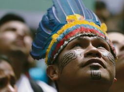 Los ojos del mundo. Mientras el planeta mira principalmente los incendios en el Amazonas en la parte brasileña, la Amazonía comprende el 40% del territorio colombiano. ESPECIAL / AP