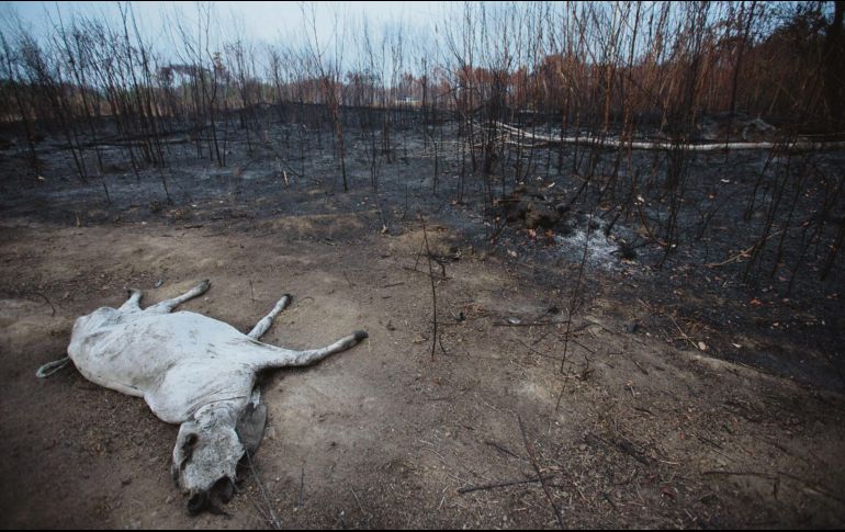 Los técnicos brasileños reportaron dos mil 500 nuevos focos de incendio sólo entre el 22 y 23 de agosto. EFE