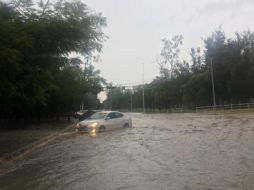 Tormenta deja encharcamientos y árboles caídos en ZMG