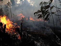 Las tensiones entre Francia y Brasil vienen incrementando desde que Macron llamó a una discusión de urgencia en la cumbre del G-7 sobre los incendios en la Amazonia. AP / ARCHIVO