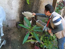 Jalisco ocupa el tercer lugar nacional por número de enfermos de dengue y el sexto lugar por tasa, 14.54 por cada 100 mil habitantes. EL INFORMADOR/ ARCHIVO