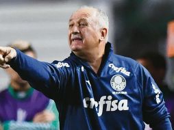 En su tercera etapa como técnico del Palmeiras, Scolari había llevado al equipo al título del campeonato brasileño del año pasado. AFP / N. Almeida