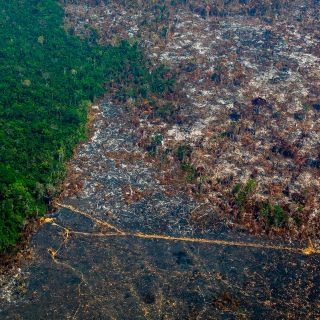 Deforestación en Amazonía brasileña alcanza su mayor nivel en 11 años