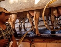 Sello Rojo cuenta con presencia en 17 estados del País y tiene en su nómina a unos cinco mil empleados. EL INFORMADOR/ ARCHIVO