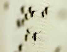 La entidad ocupa el segundo lugar a nivel nacional en casos confirmados de dengue, después de Veracruz.  NTX / ARCHIVO