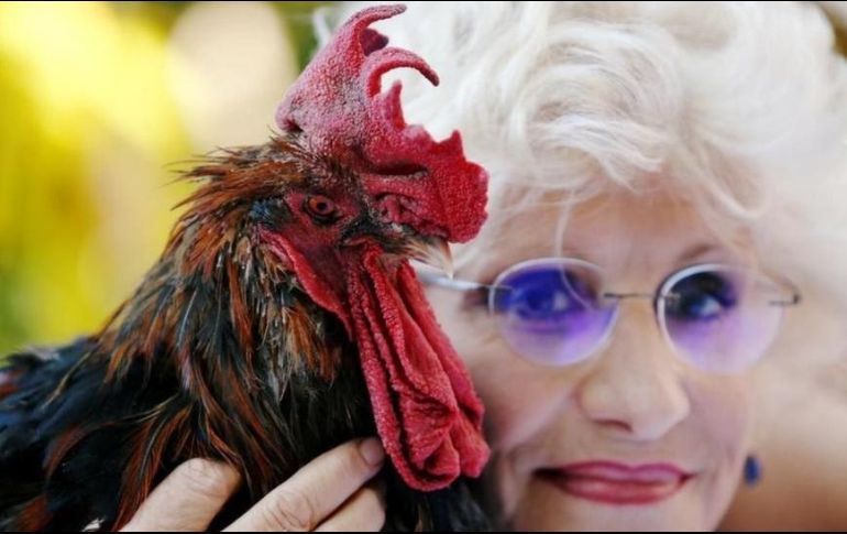Maurice junto a su dueña, Corrine Fesseau. REUTERS