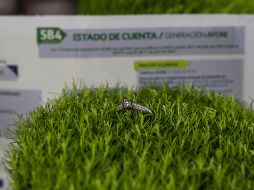 Las diez Afore que operan en México administran actualmente 64.3 millones de cuentas de trabajadores. EL INFORMADOR/ARCHIVO