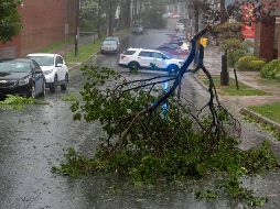 Hasta el momento, autoridades no han reportado ninguna víctima. AP / A. Vaughan
