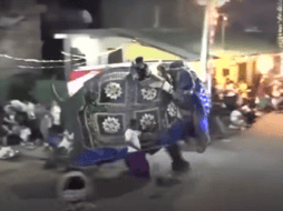 Elefante lesiona a 18 personas en procesión budista en Sri Lanka