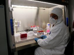 El secretario de salud de Jalisco, Fernando Petersen, comentó que los casos de dengue en la entidad han crecido entre 350% y 400%. EL INFORMADOR/ ARCHIVO