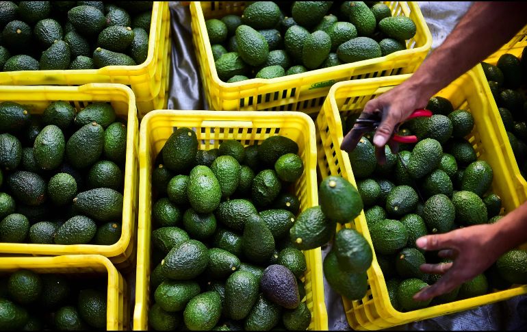 La baja en el precio del aguacate contribuyó a la caída en el indicador. AFP/ARCHIVO