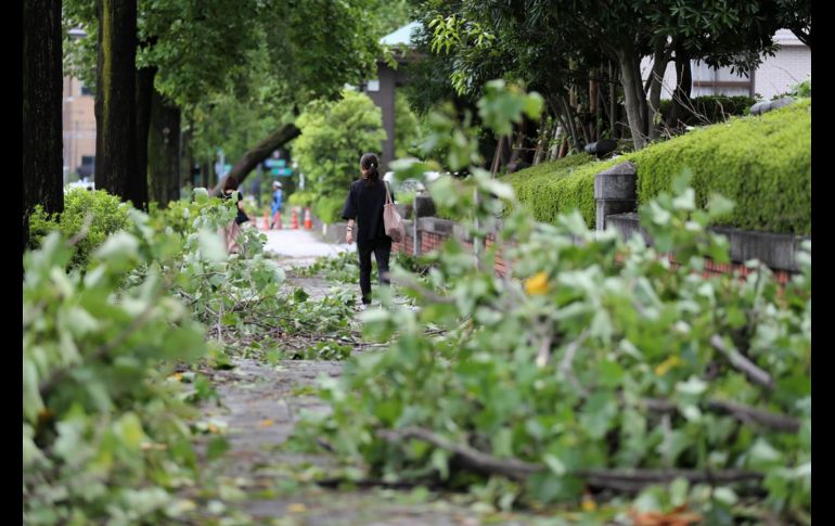 Una mujer se abre paso entre ramas caídas en Tokio. AFP/Jiji Press