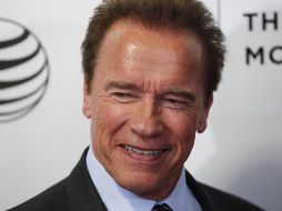 Schwarzenegger y Trump han coincidido en eventos de combates de lucha libre. AFP / ARCHIVO