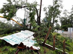 El fenómeno causó daños significativos dentro y en los alrededores del centro comercial Western Mall. AP/ARCHIVO