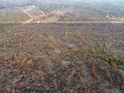 Un área en el estado de Mato Grosso afectada por un incendio forestal el mes pasado. EFE/ARCHIVO