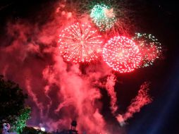 ''Las mascotas también son parte de nuestras familias, por ello debemos cuidarlas y protegerlas'', dice el comunicado publicado en redes. EL INFORMADOR / ARCHIVO