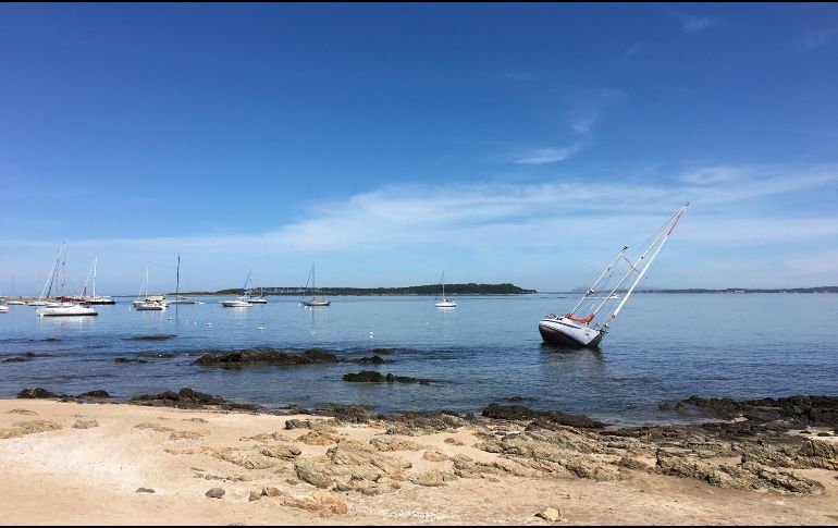 Puerto Punta Del Este. Una belleza sublime.  CORTESÍA